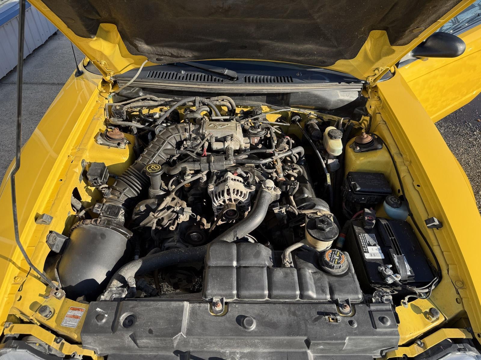 1999 Ford Mustang GT